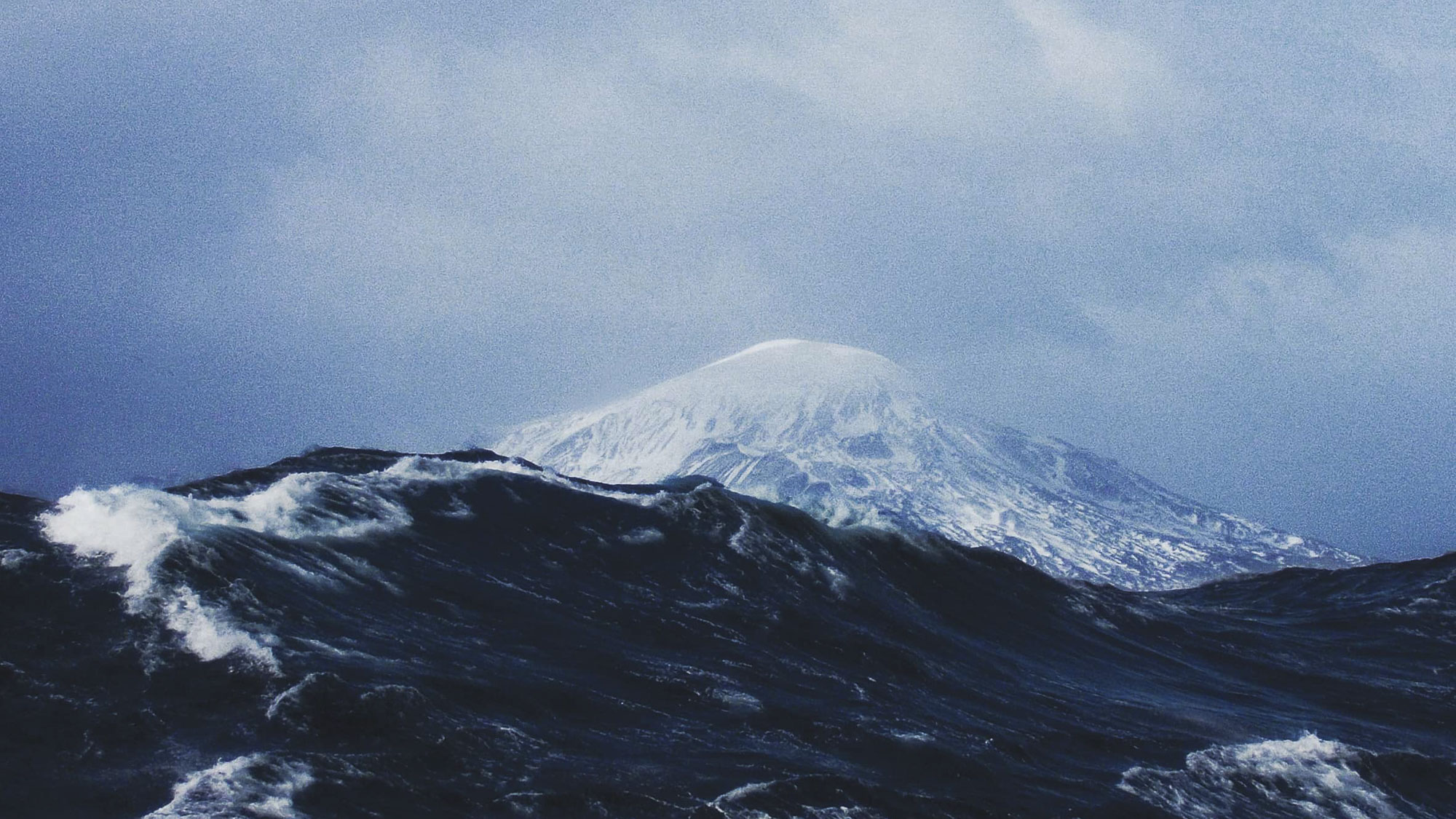 Glacier 51 Toothfish